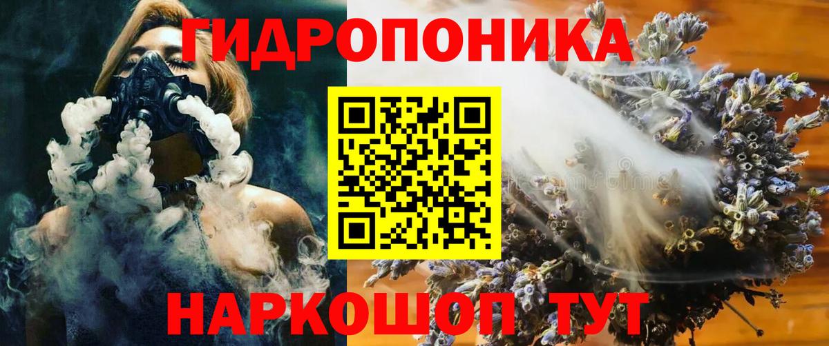 Шишки марихуана семена Алексеевка